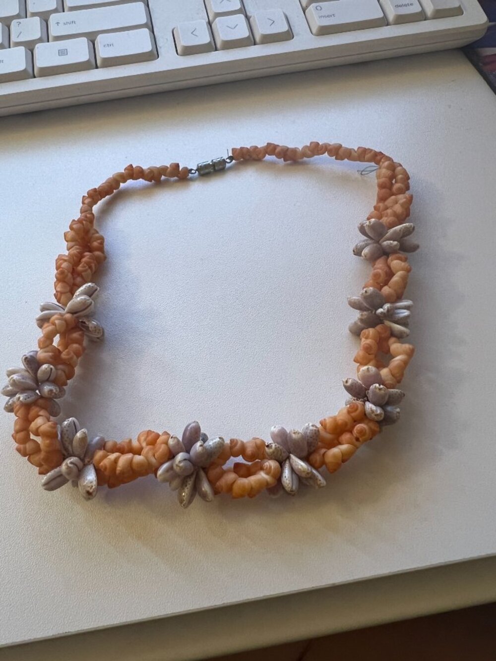 Beachy Shell Necklace - Picture 1 of 4